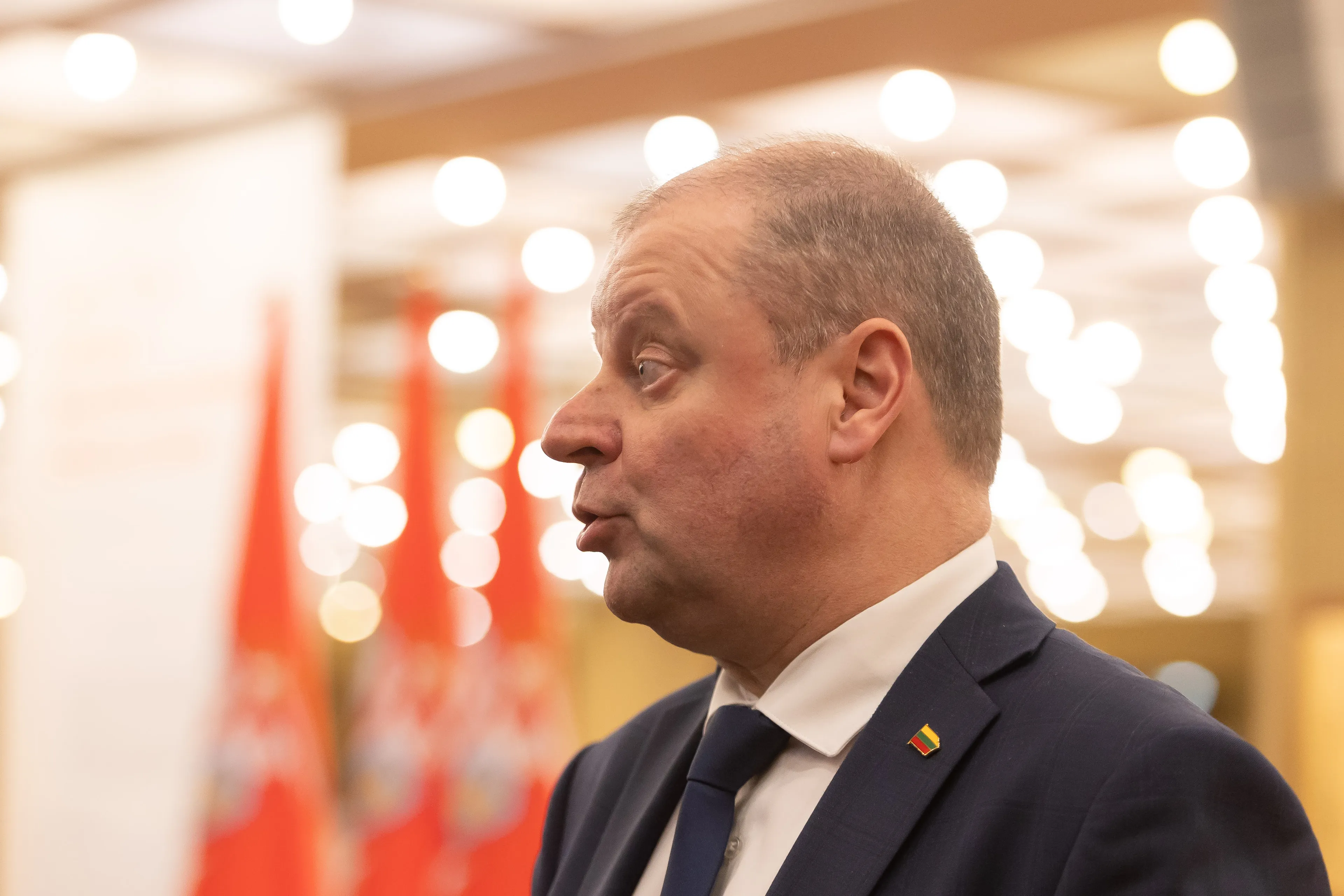 Saulius Skvernelis / ELTA / D. Labučio nuotr.