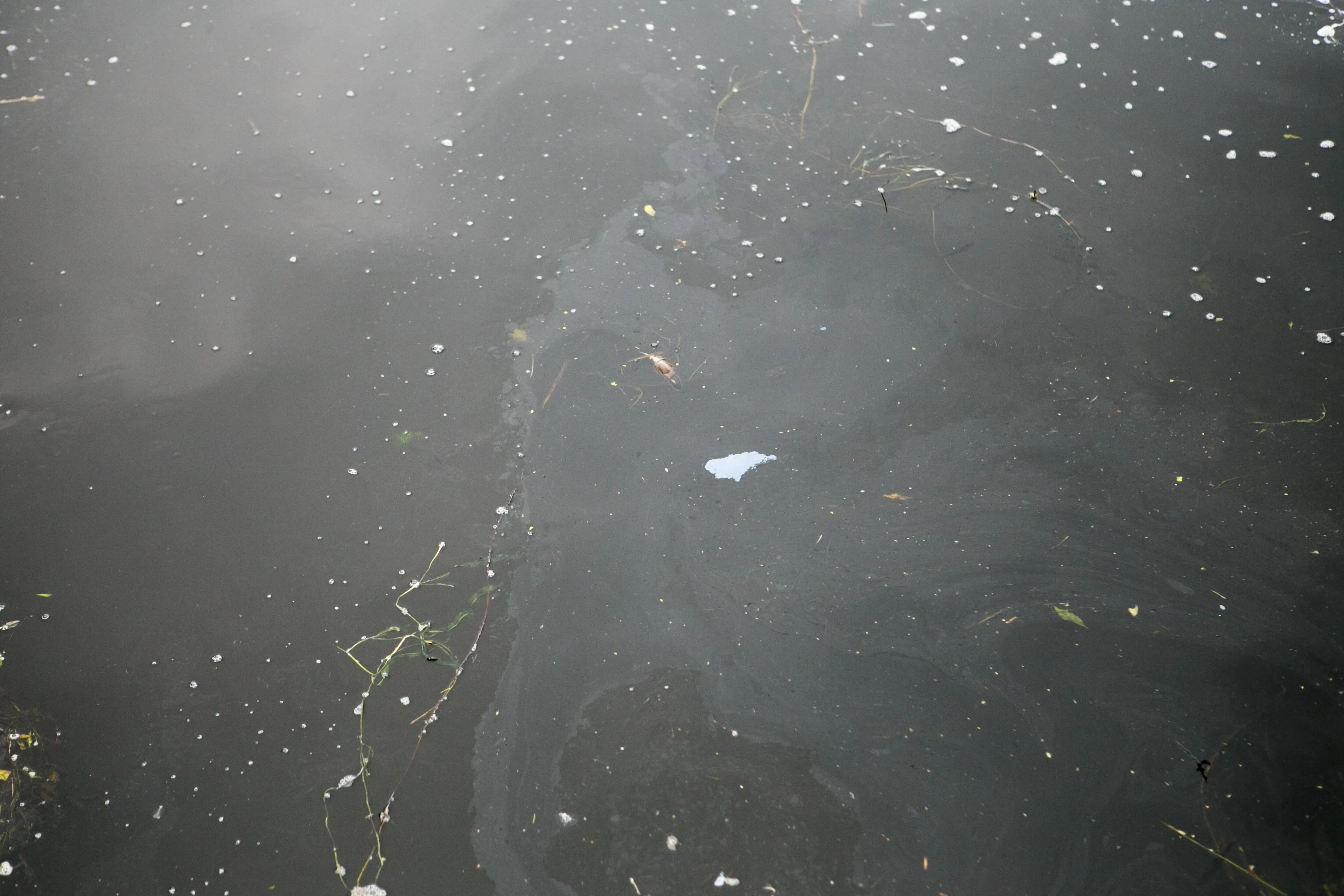 Naftos produktų dėmės Nemune