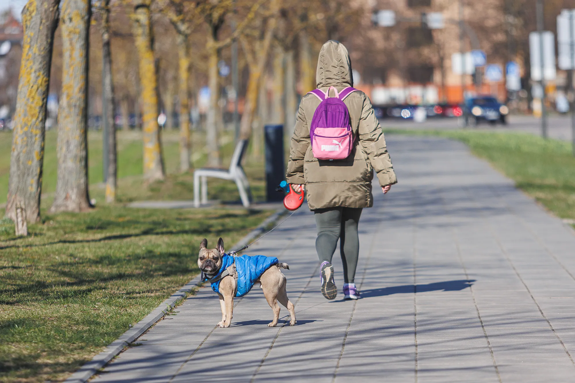 Sakuros Nemuno saloj / R. Tenio nuotr.