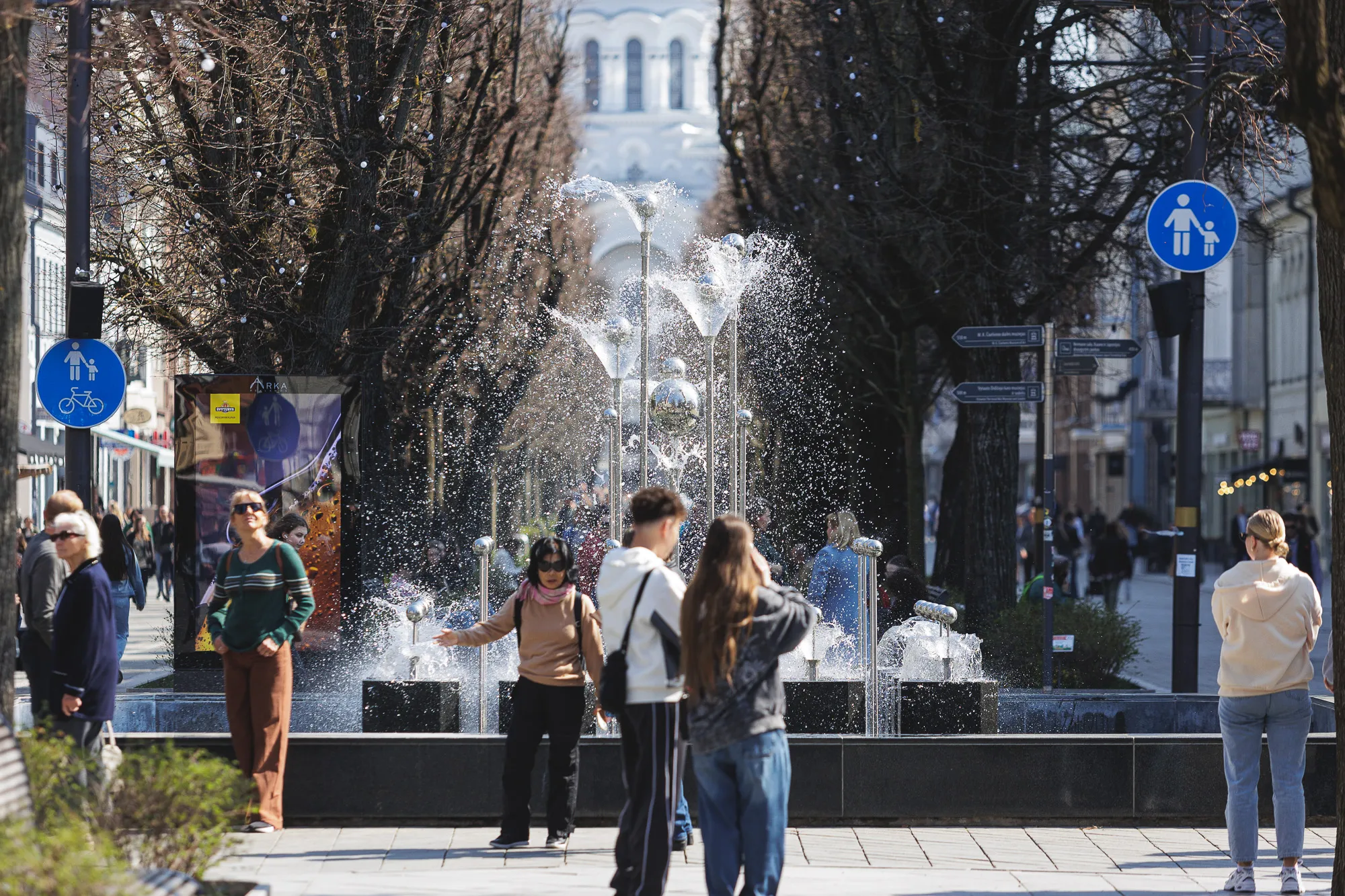 Žydinčios Sakuros Nemuno saloje / R. Tenio nuotr.