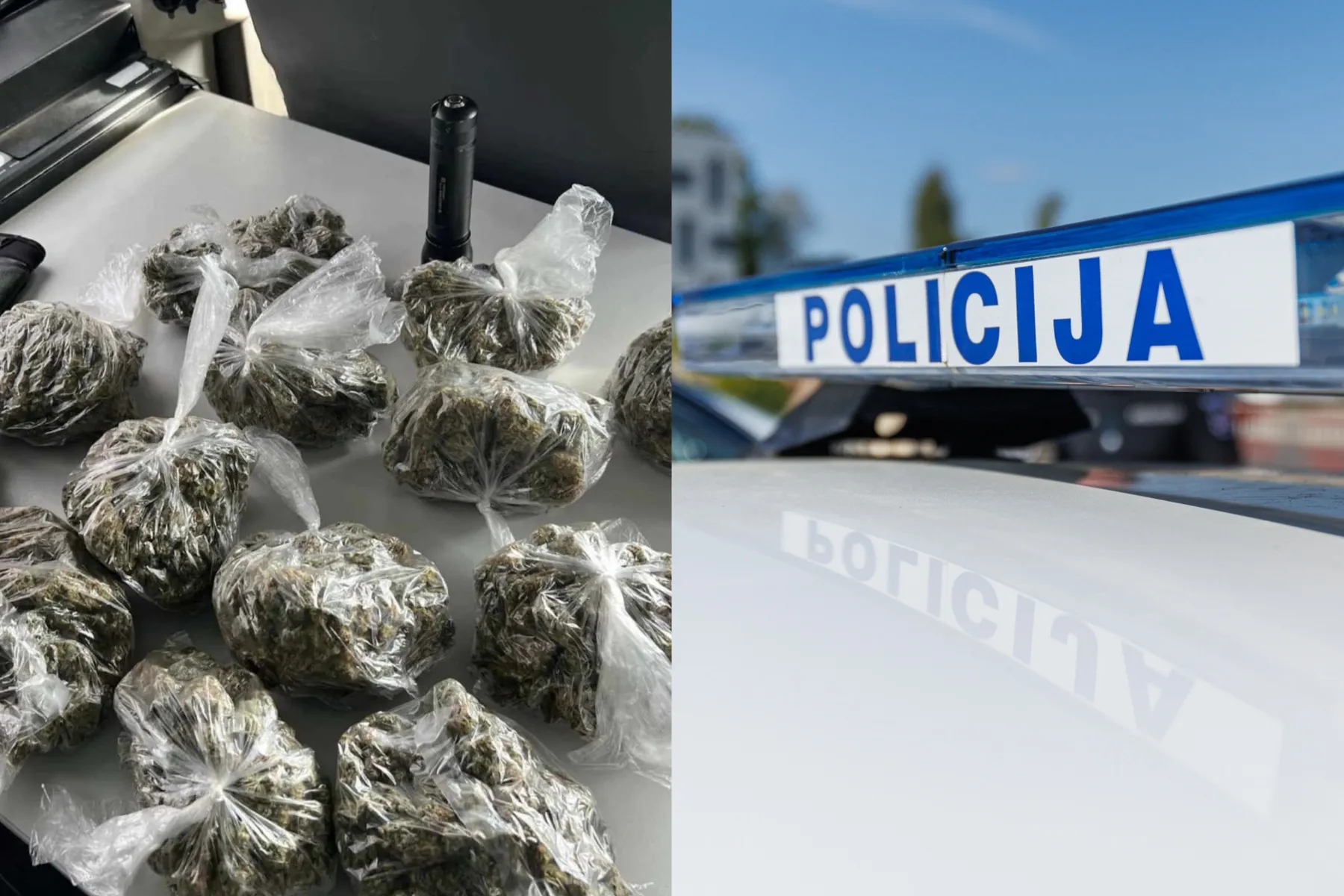 Asociatyvi / Kauno apskr. VPK Facebook ir R. Tenio nuotr.