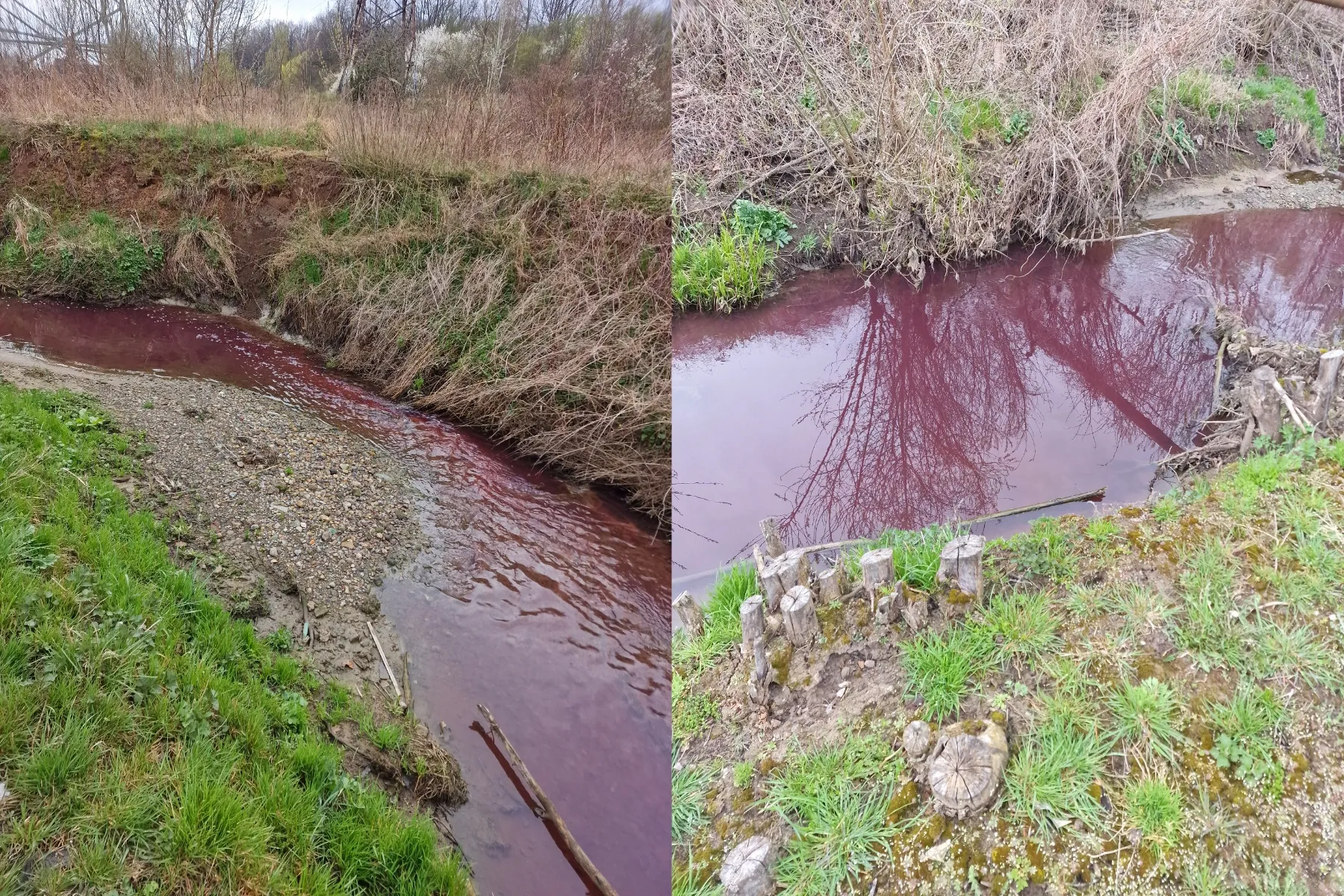 Užterštas Amalės upelis / Skaitytojo nuotr.