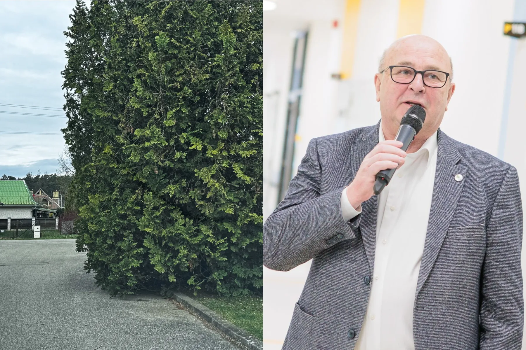 Visvaldas Matijošaitis / „Kas vyksta“ nuotr.