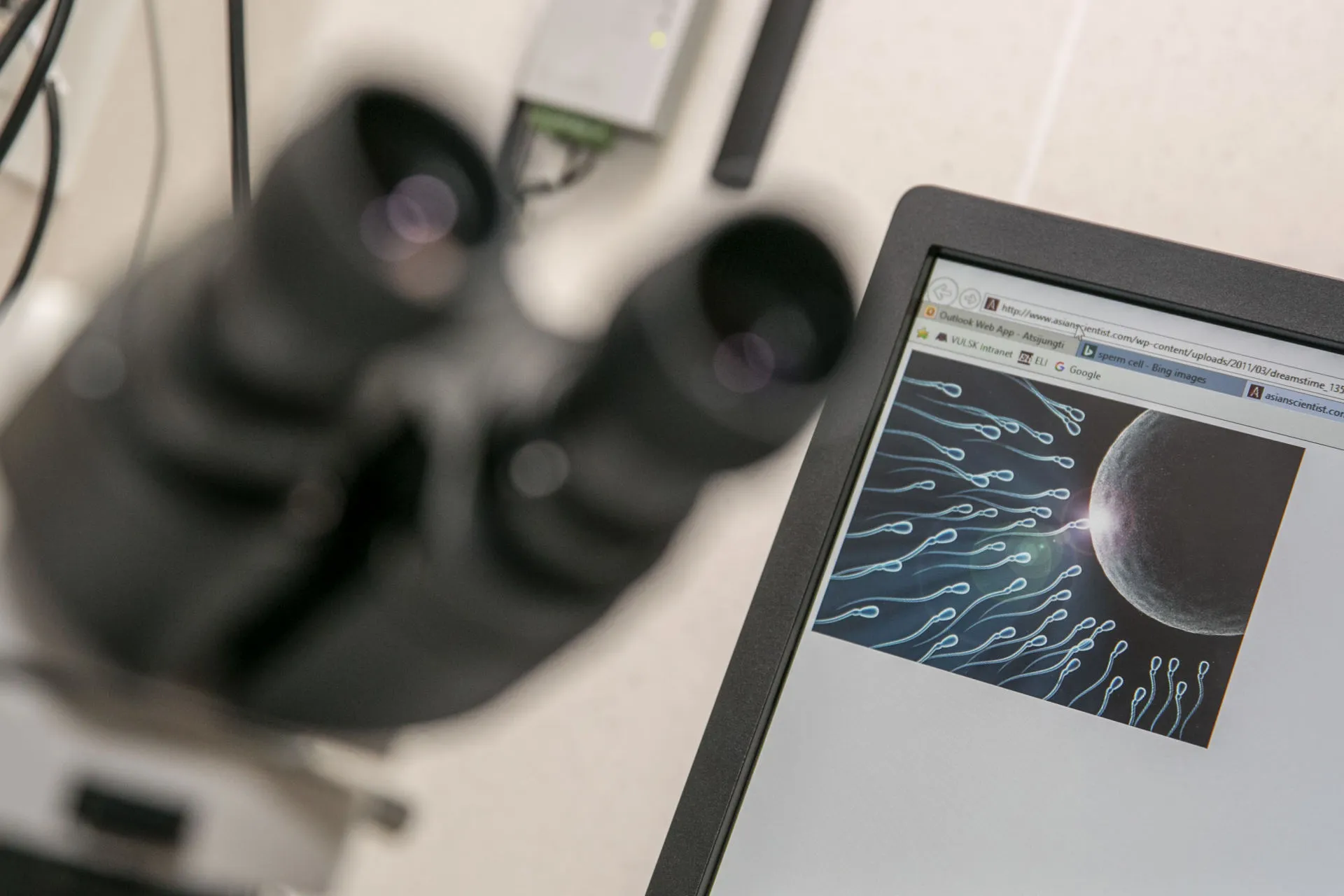 Pagalbinis apvaisinimas