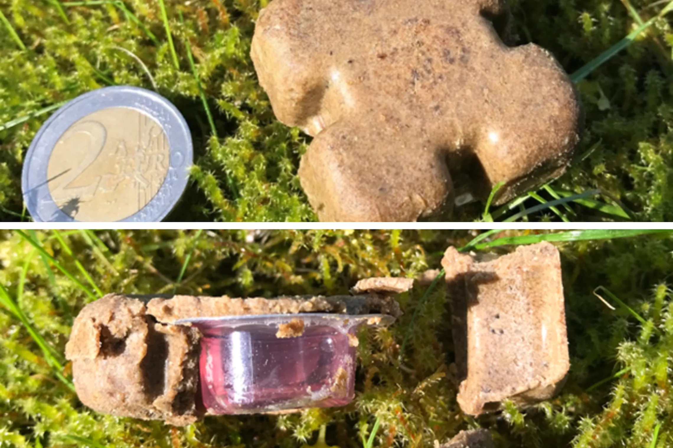 Vakcina nuo pasiutligės