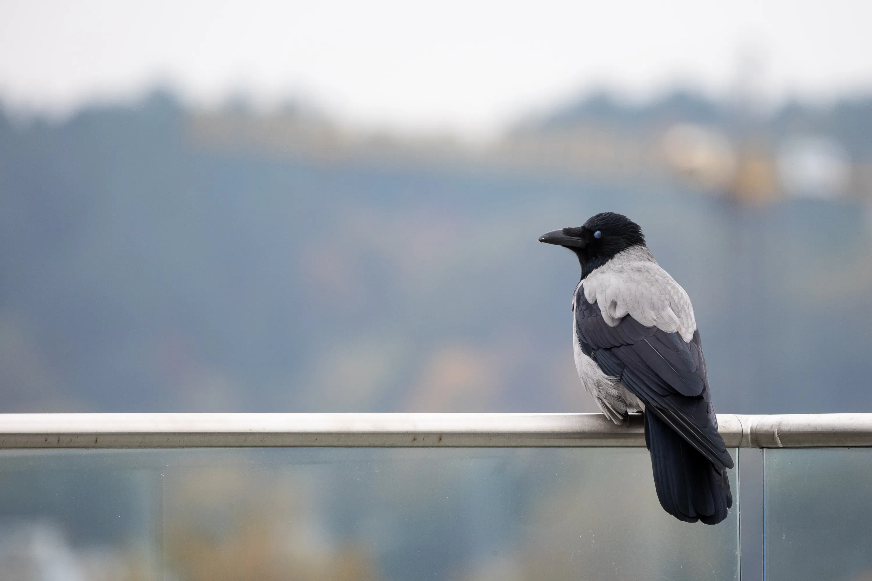 Asociatyvi / Ž. Gedvilos, BNS nuotr.