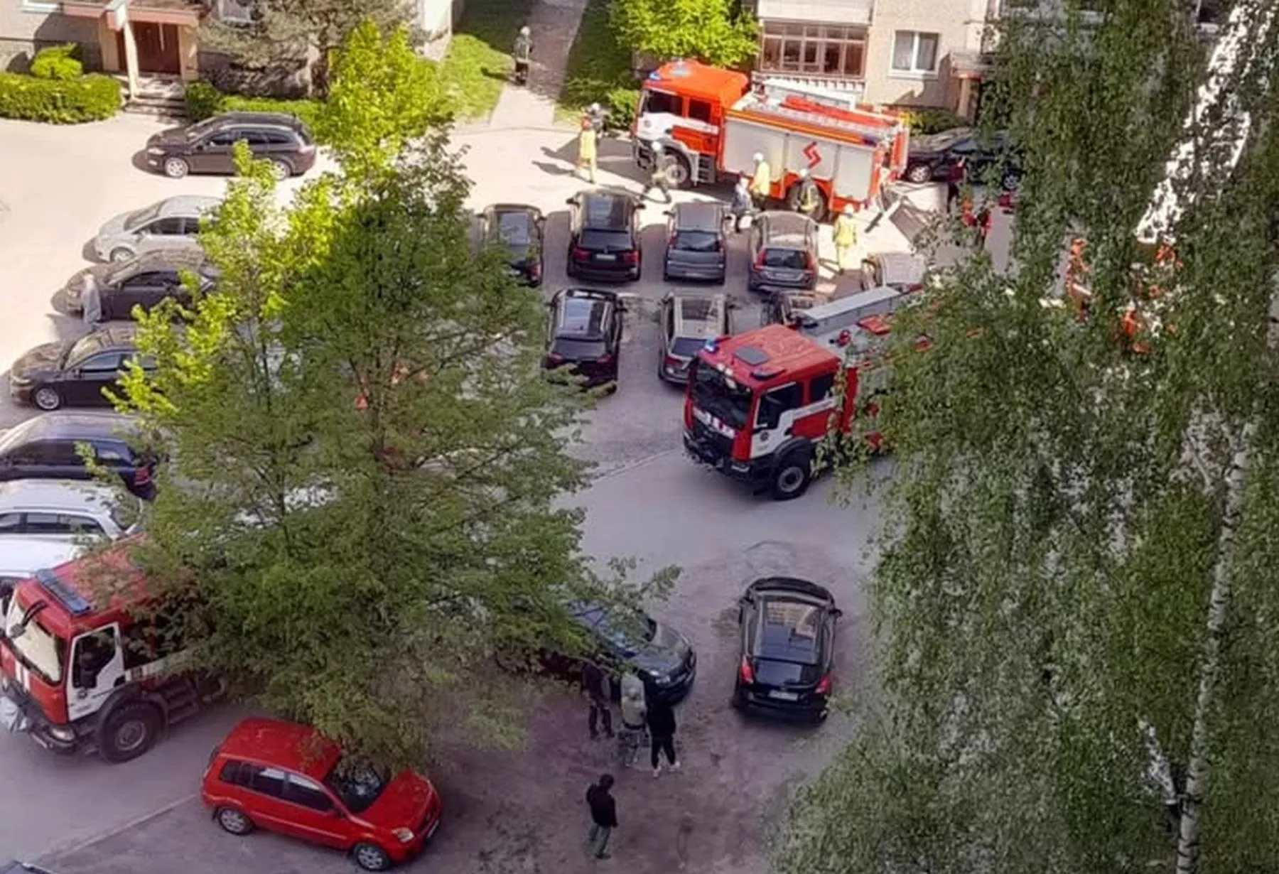 Spec. tarnybų sujudimas Šilainiuose / Skaitytojo nuotr.