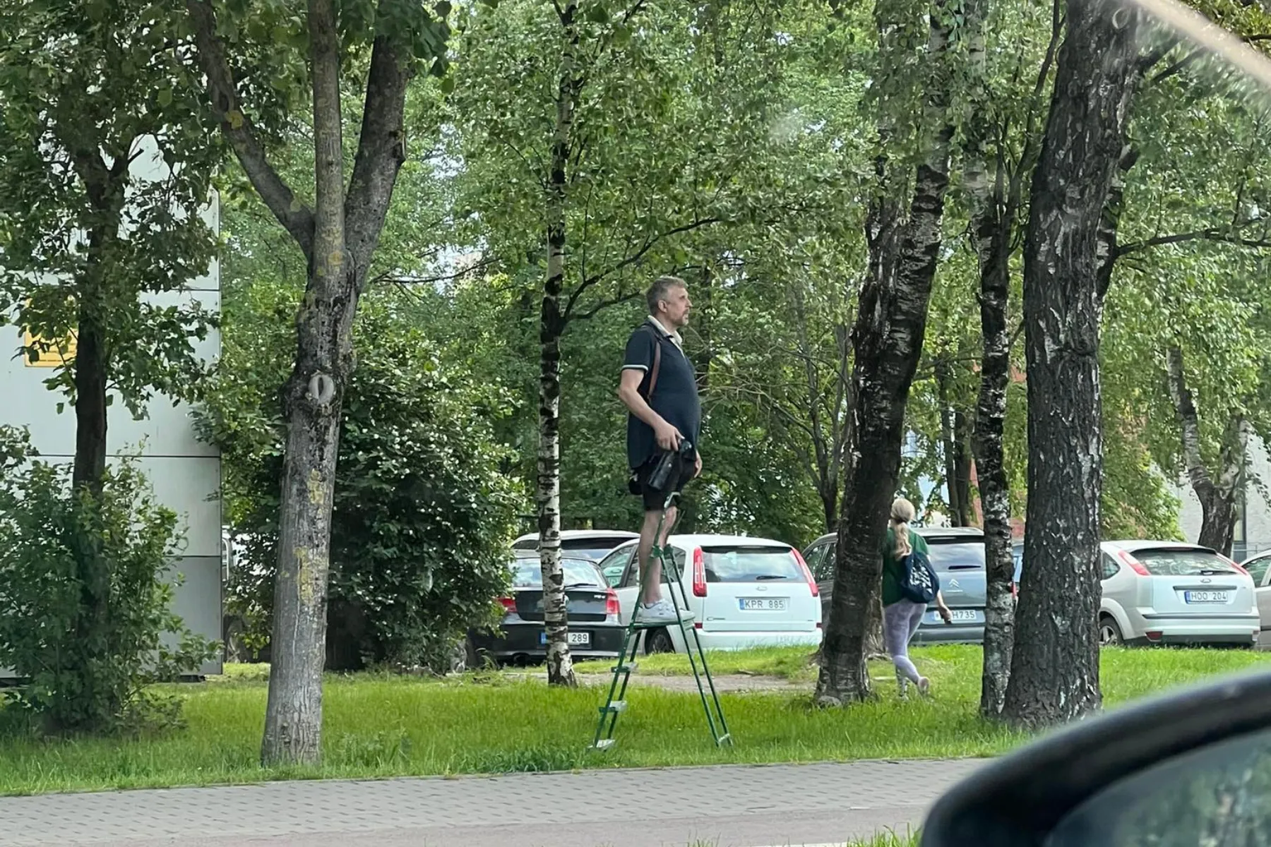 Vyras ant kopėčių / Skaitytojų nuotr.