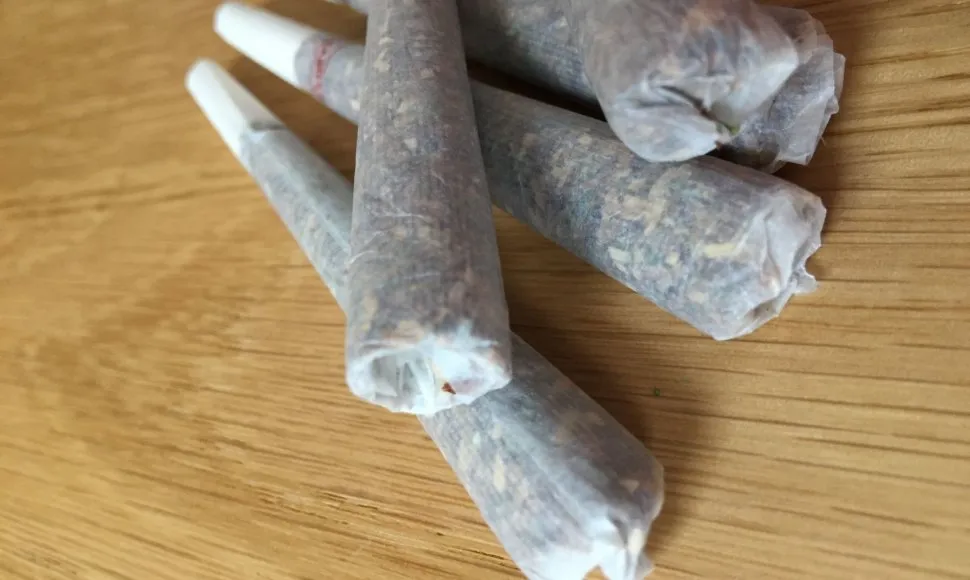 Marihuanos suktinė, kanapės, narkotikai