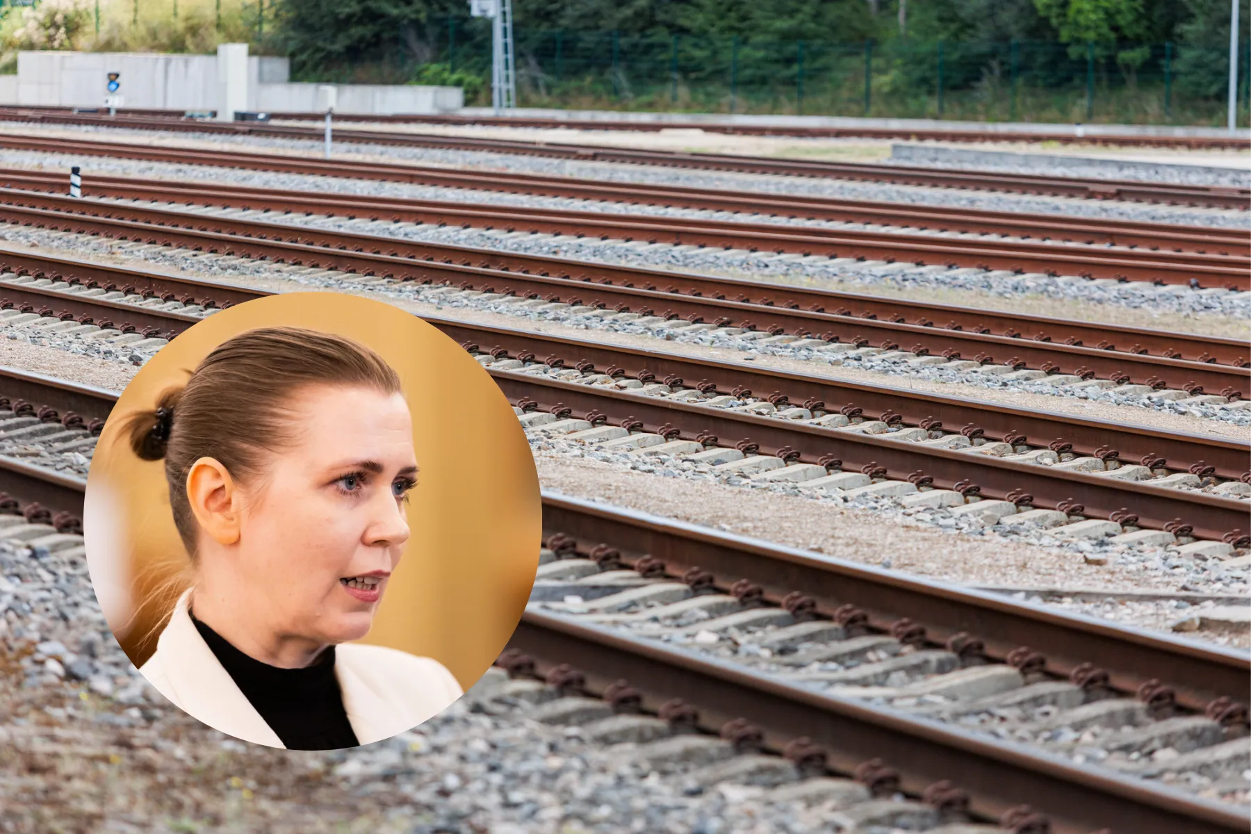 Dovilė Šakalienė, traukinio bėgiai