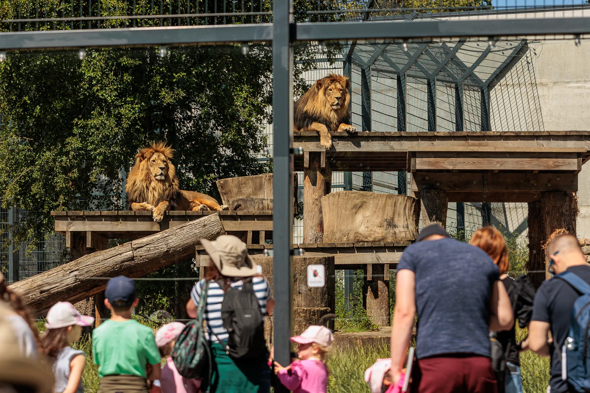 Zoologijos sodo gimtadienis / R. Tenio nuotr.