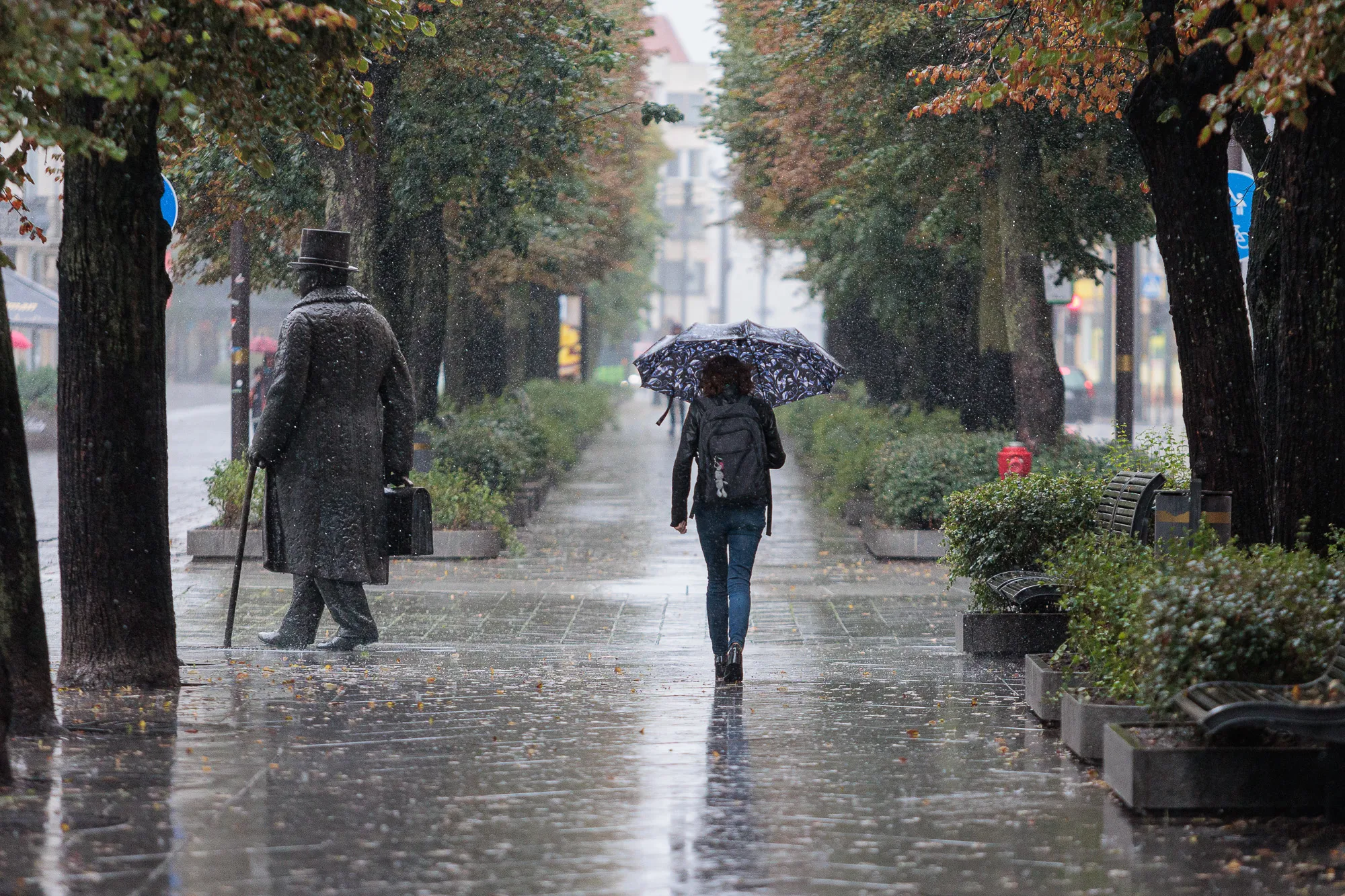 Lietus, skėčiai / R. Tenio nuotr.