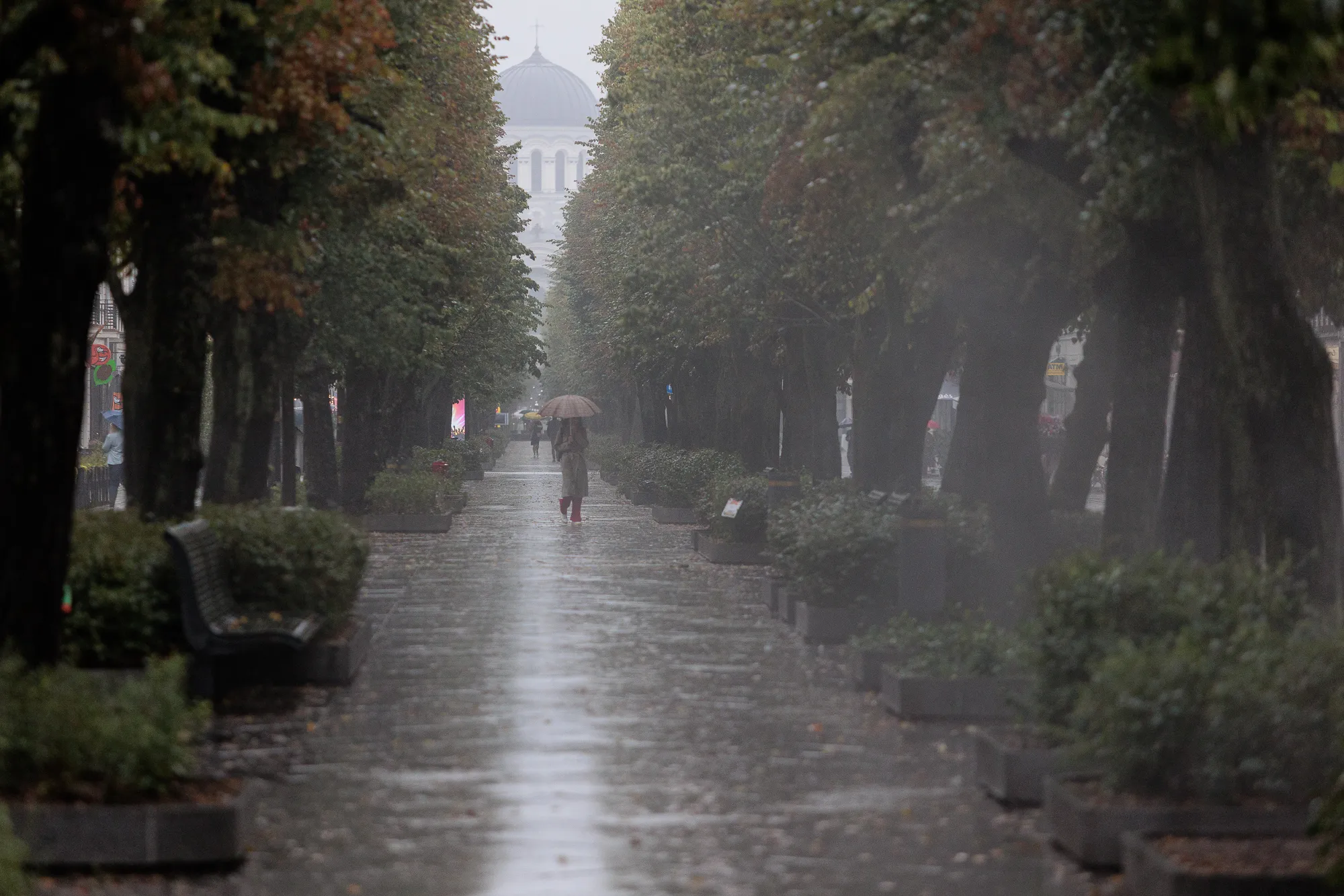 Lietus, skėčiai / R. Tenio nuotr.