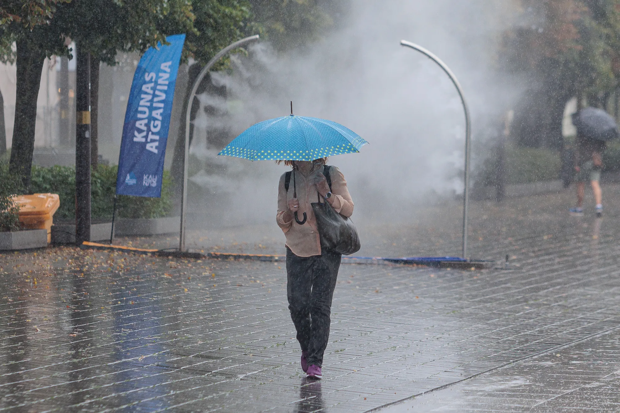 Lietus, skėčiai / R. Tenio nuotr.