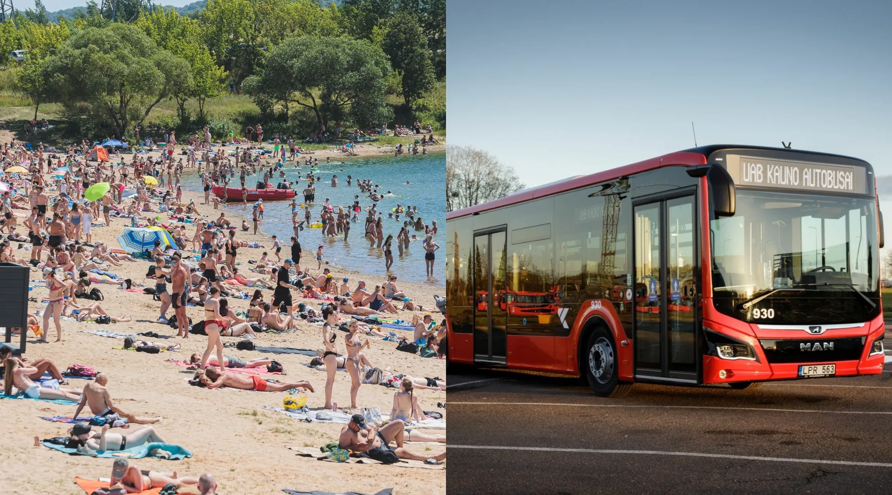 Karšta diena lampėdžio ežere, autobusas („Kas vyksta Kaune“ fotomontažas)