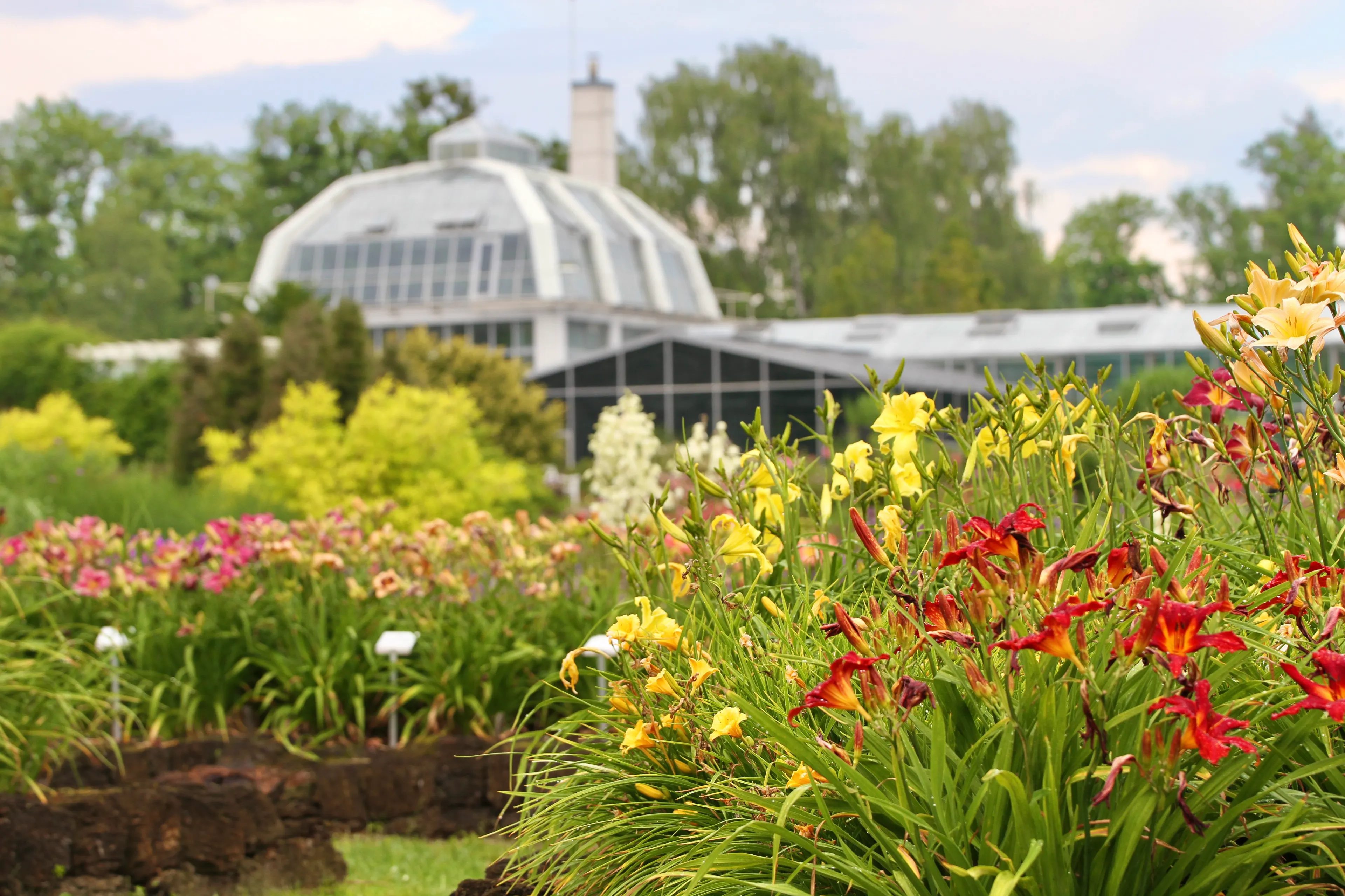 Viendienių kolekcija / VDU Botanikos sodo nuotr.