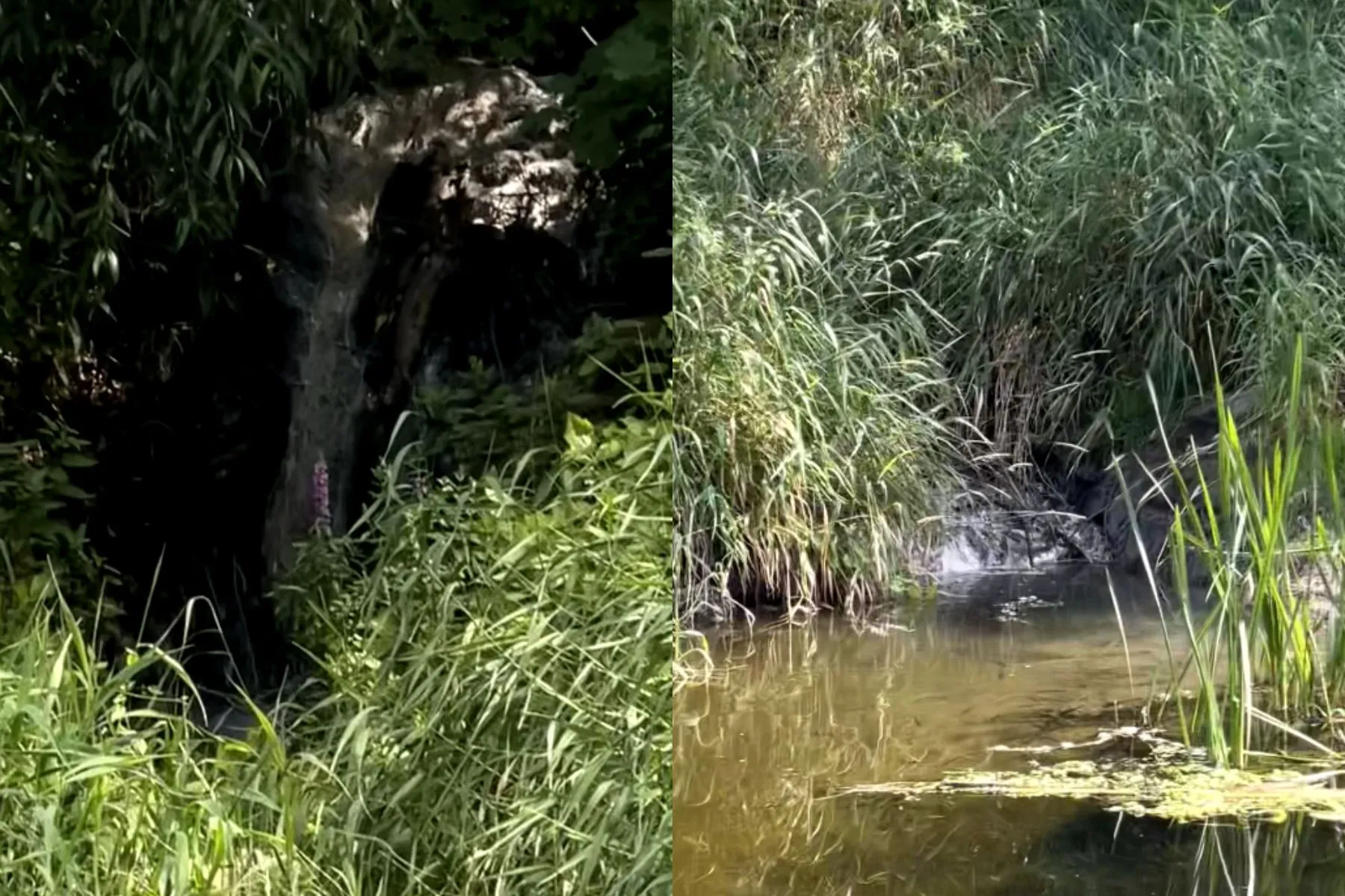 Nevėžis / Stop kadro nuotr.