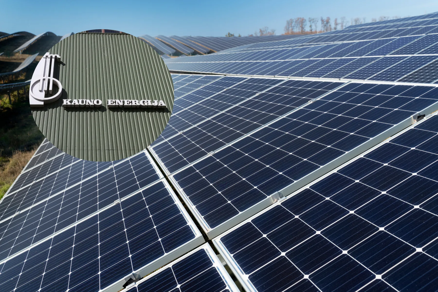 Asociatyvi / Delfi / AM nuotr.