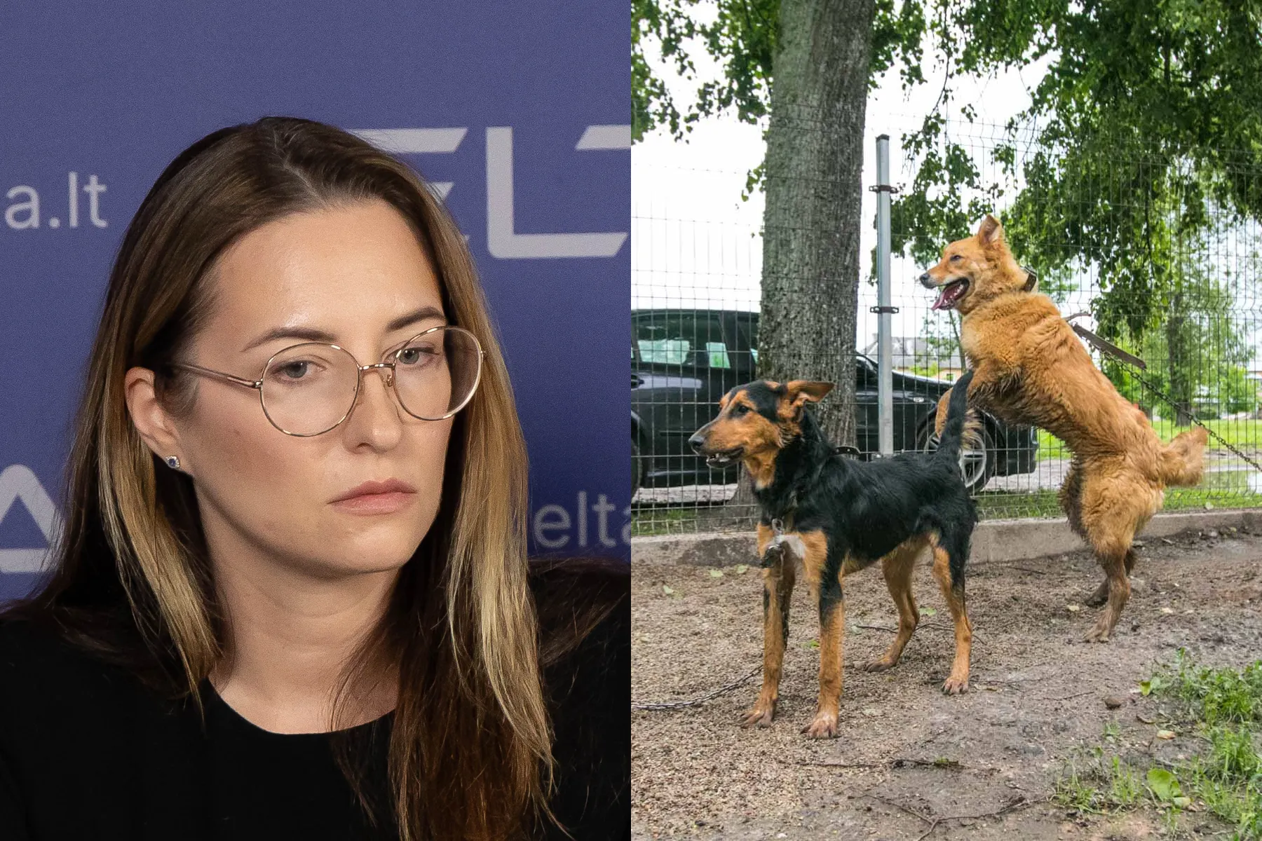 Asociatyvi / R. Tenio / D. Labučio nuotr.