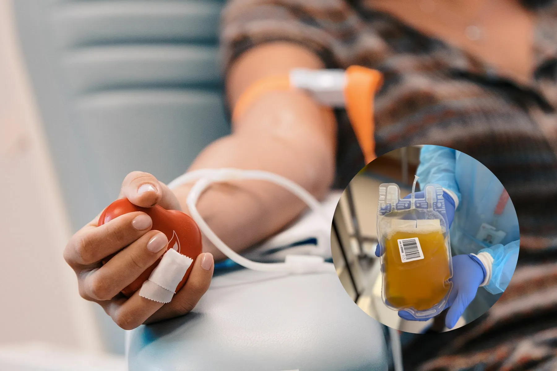 Kraujo donorystė, kraujo plazma