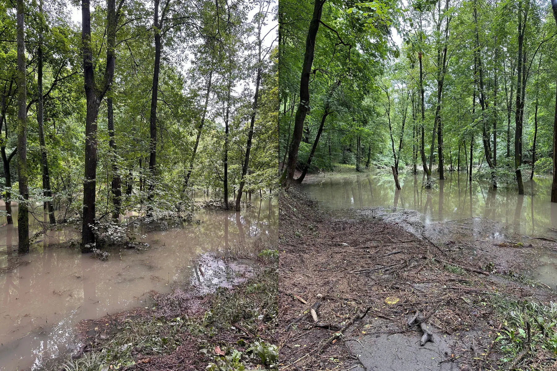Patvinęs A. Mickevičiaus slėnis