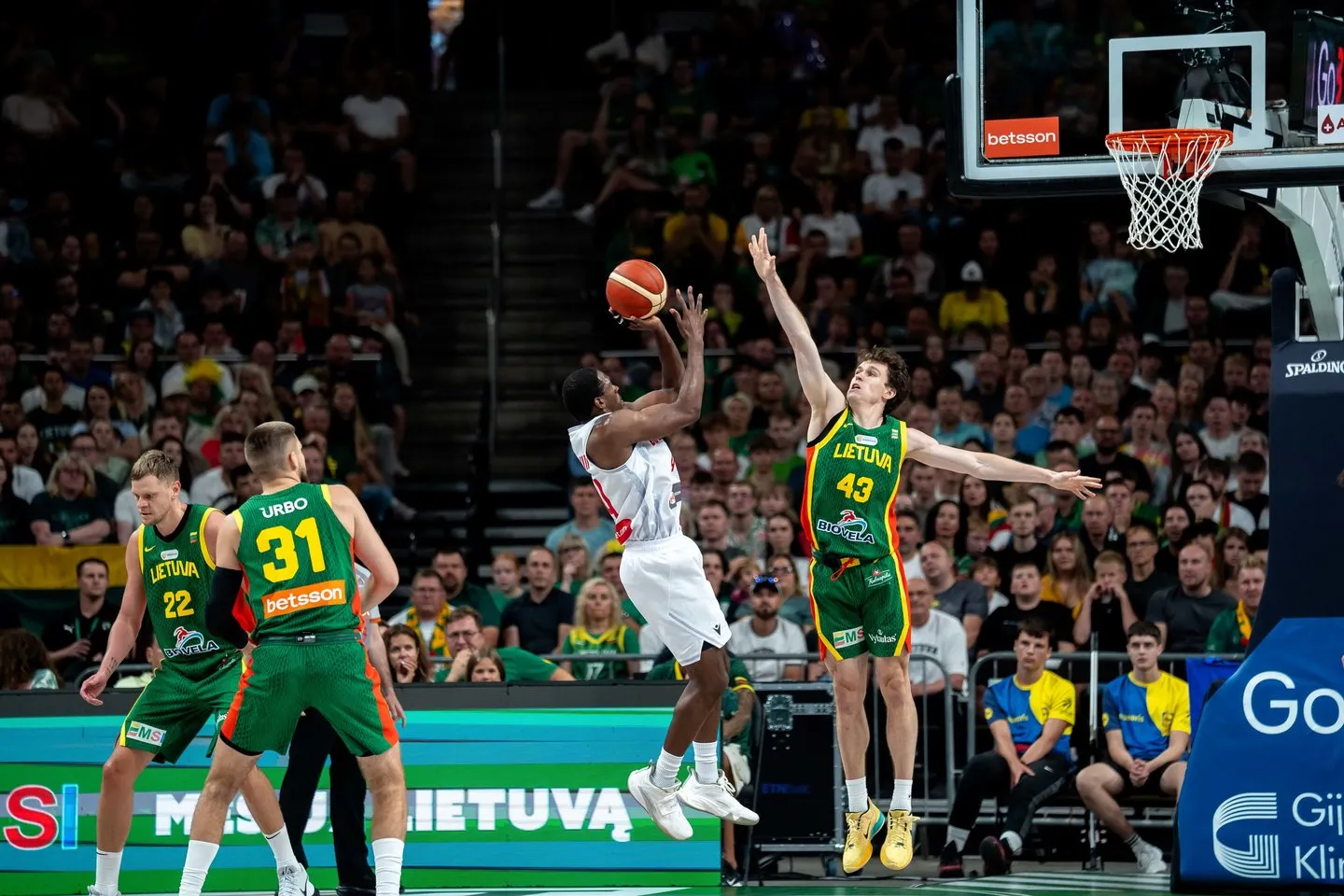 Lietuvos ir Sakartvelo rinktinių mačas / G. Bitvinsko nuotr.