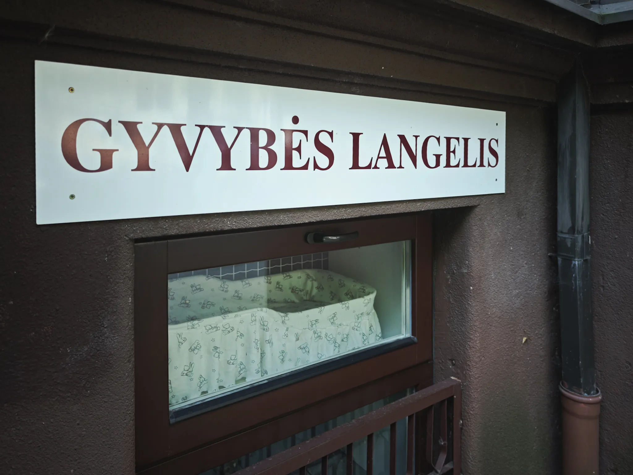 Gyvybės langelis / R. Tenio nuotr.