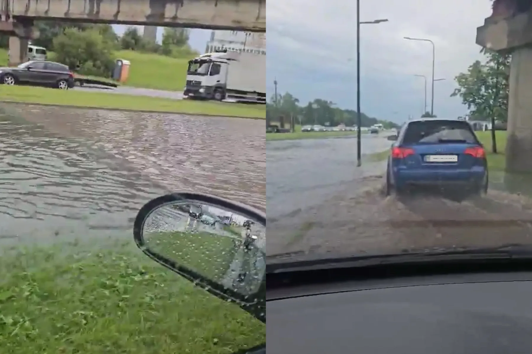 Taikos pr. / Stop kadro nuotr.