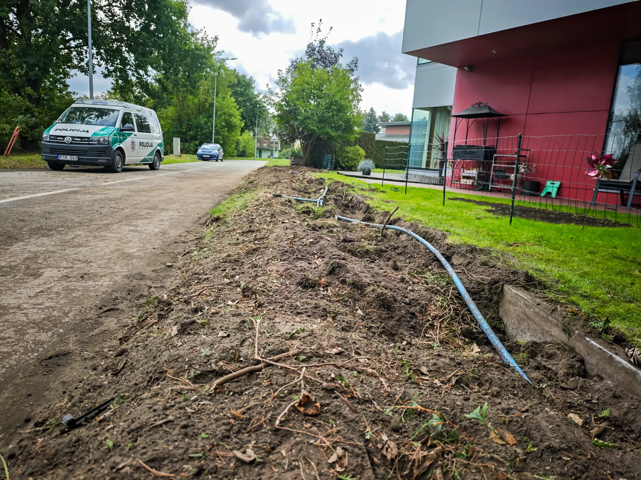 Išpjautos tujos Vičiūnuose