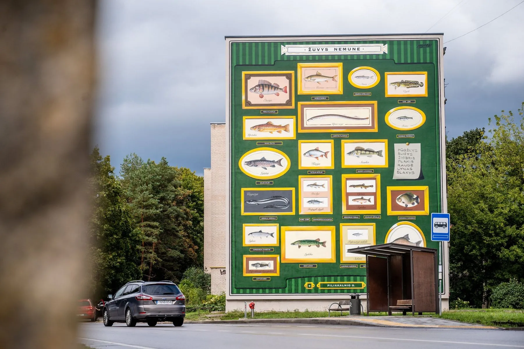 Piešinys ant Piliakalnio gatvės daugiabučio / Kaunas.lt nuotr.