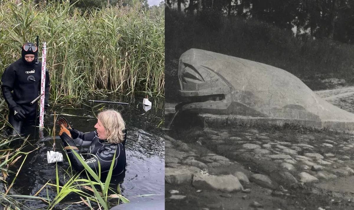 8aeae505-18af-4055-ba84-df43fa71c027