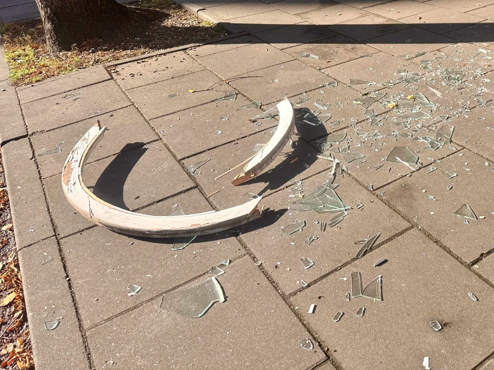 Šukės I. Kanto g. / Kas vyksta nuotr.