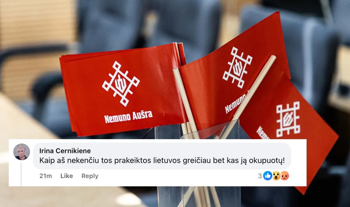 „Nemuno aušros“ partijos narė šokiravo savo komentaru / Delfi.lt nuotr.