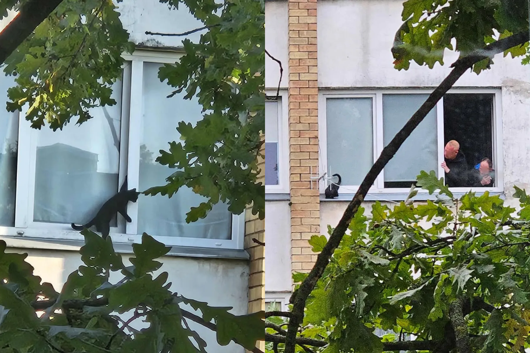 Asociatyvi / Skaitytojos nuotr. / Kas vyksta Kaune koliažas