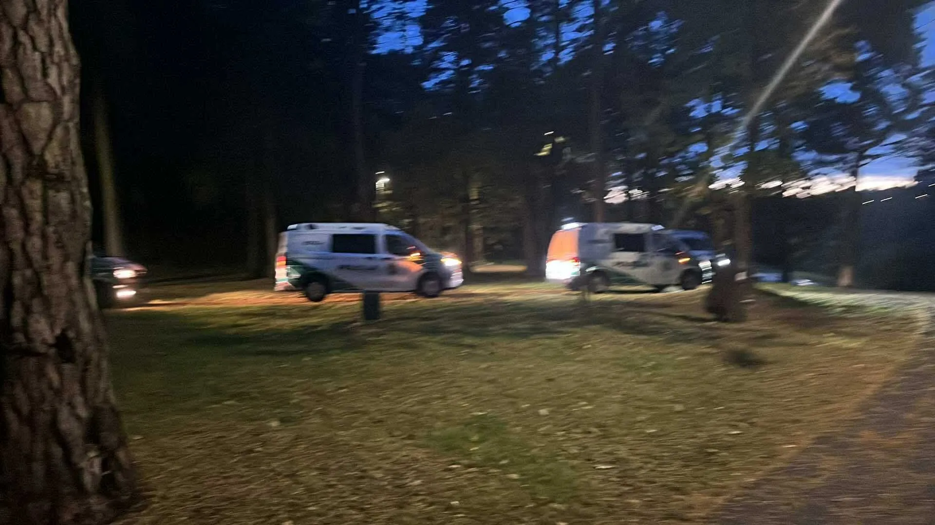 Policija Panemunės šile