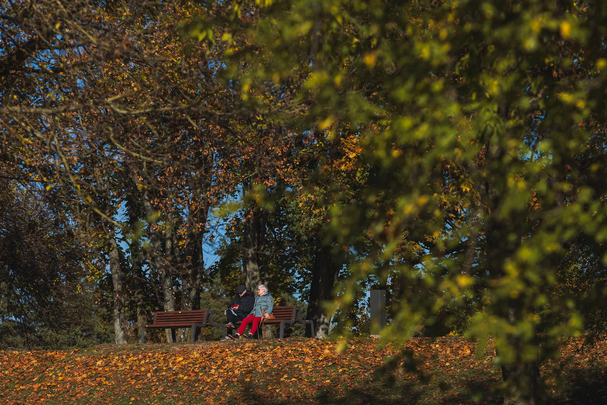 Ruduo Kaune / R. Tenio nuotr.