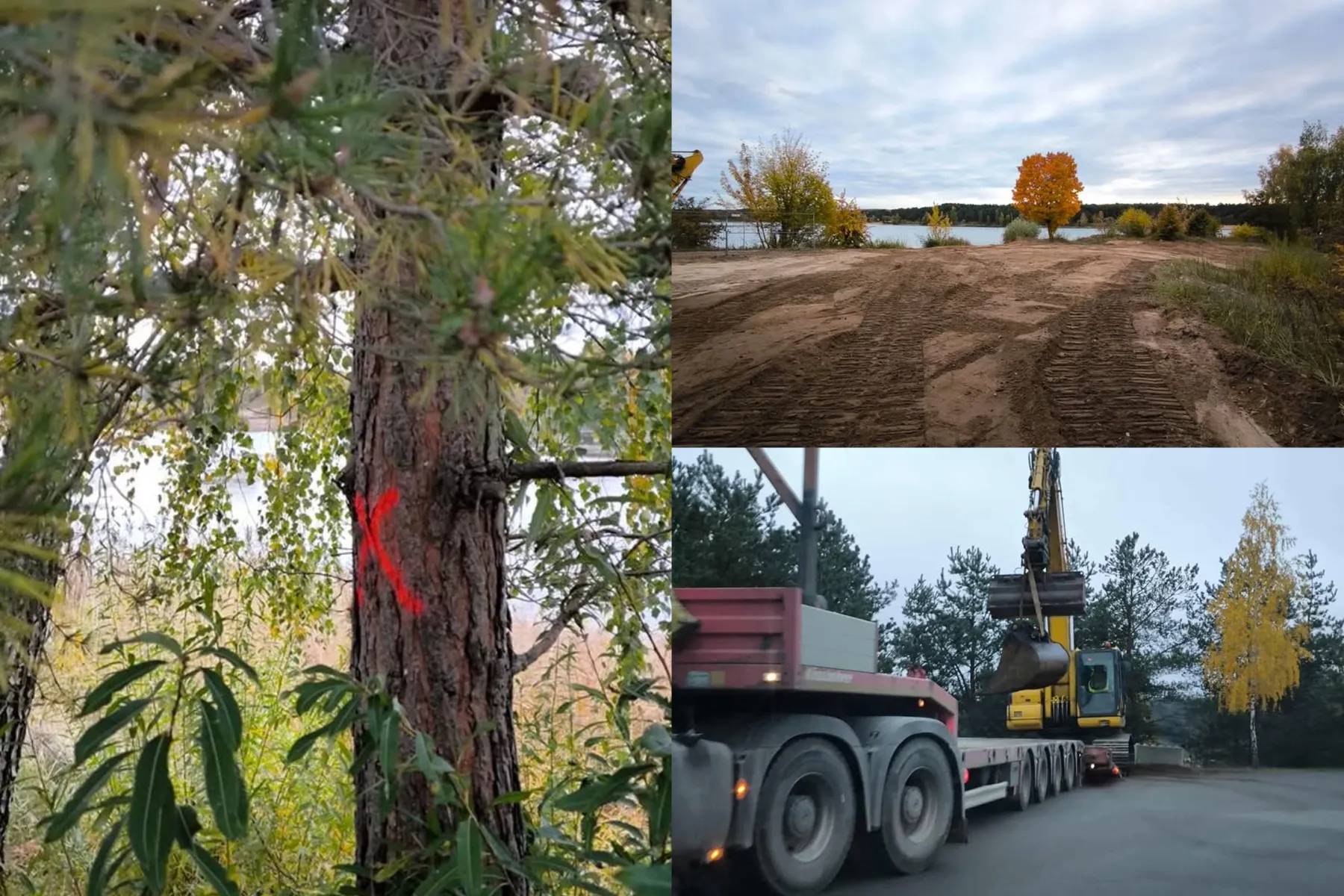 Lampėdžio ežero pakrantė / Skaitytojos nuotr.