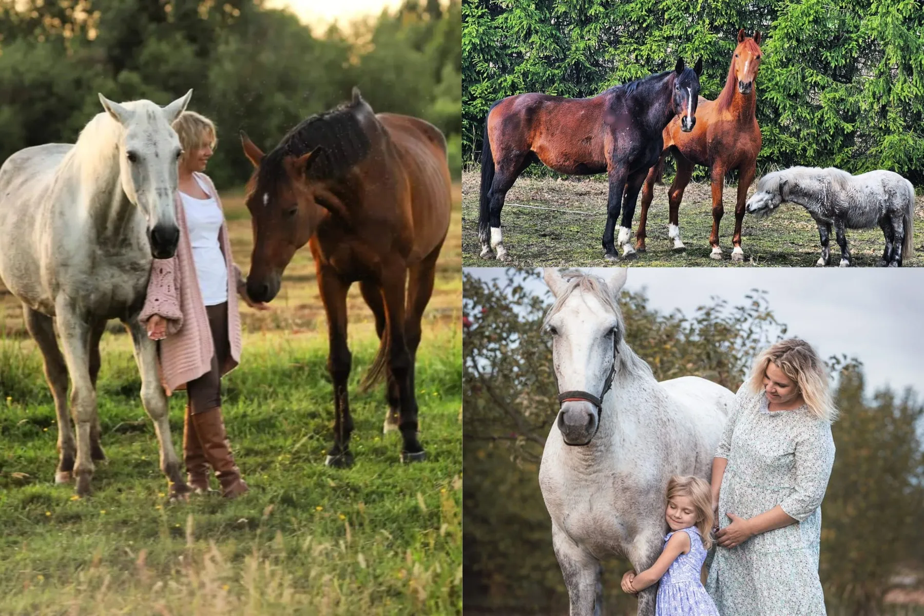 Žirgynas „Kariūnas“ / Asm. albumo nuotr.