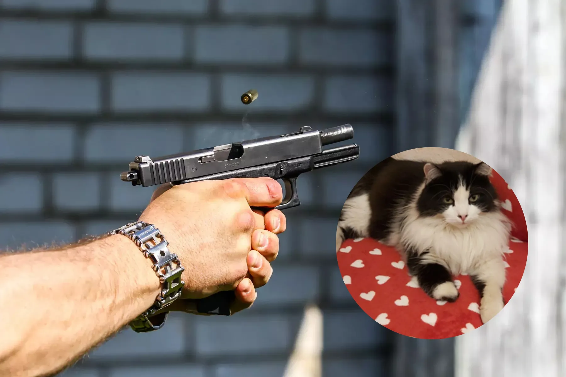 Asociatyvi / R. Tenio / Skaitytojų nuotr.