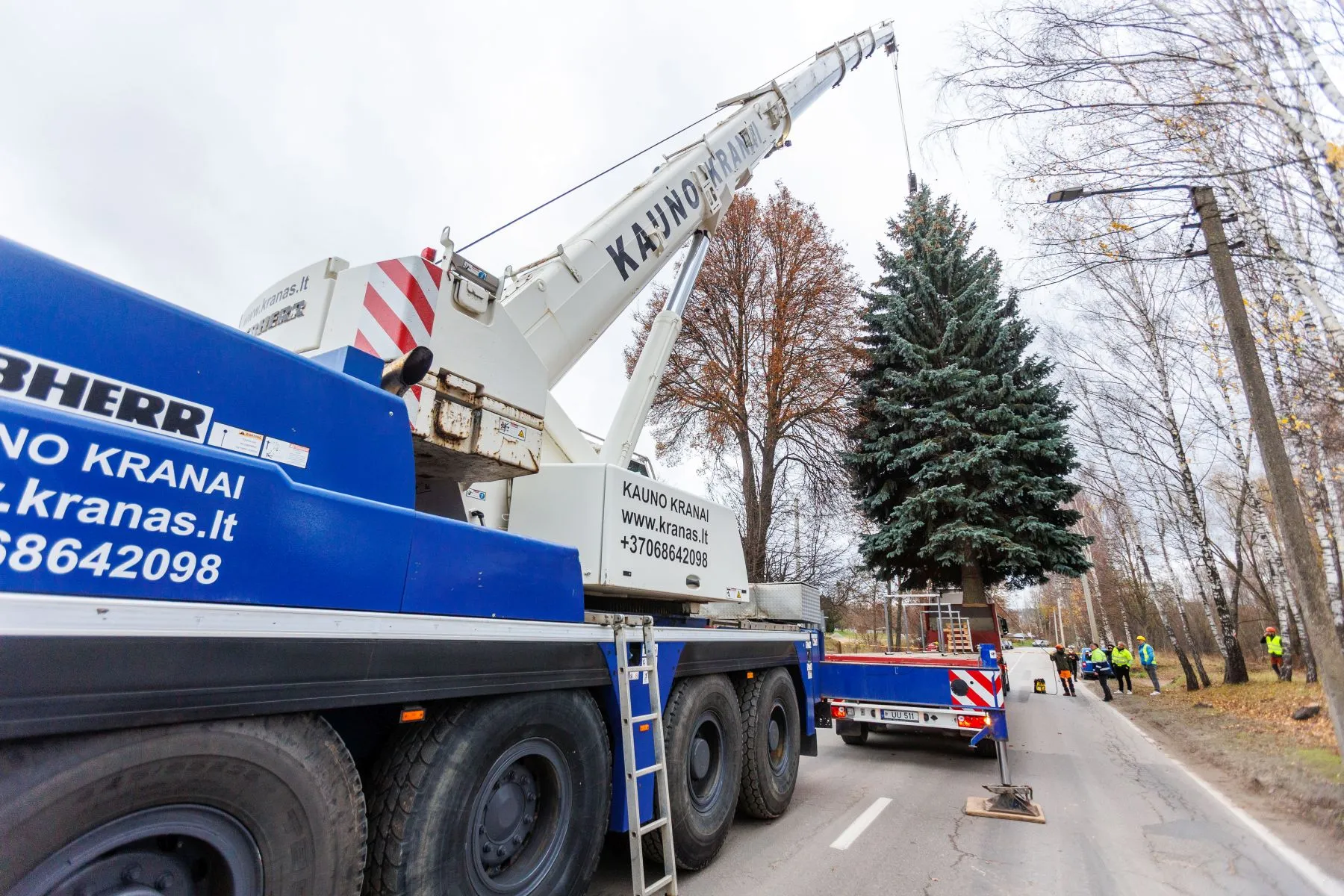 Kauno Kalėdų eglės kelionė / BNS, E. Ovčarenko nuotr.