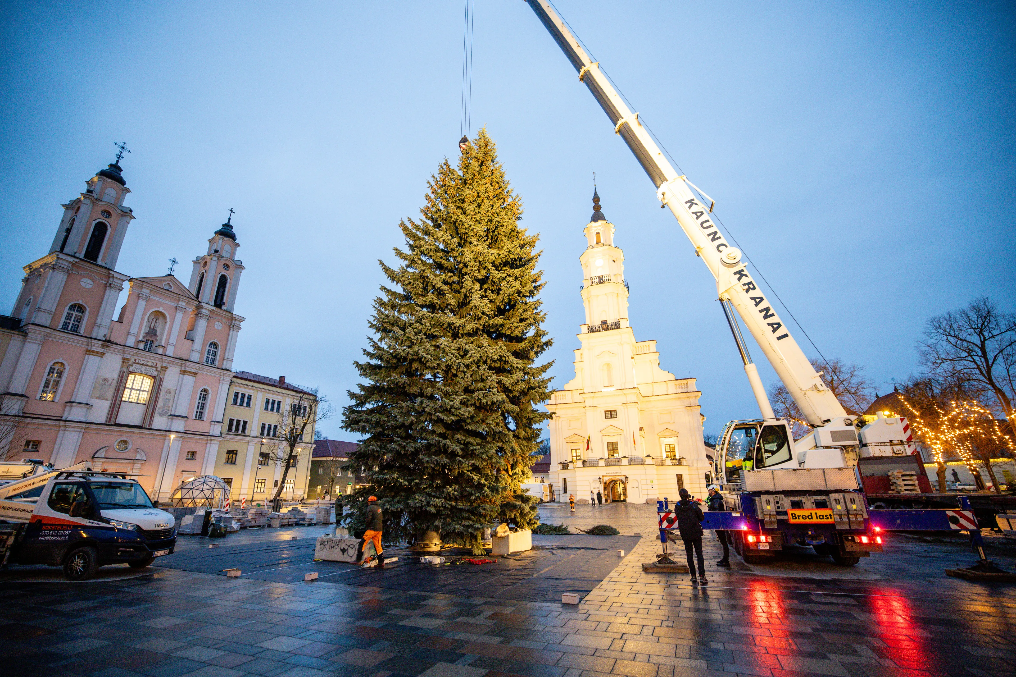 Kauno Kalėdų eglė atvyko į Rotušės aikštę / T. Biliūno / BNS nuotr.