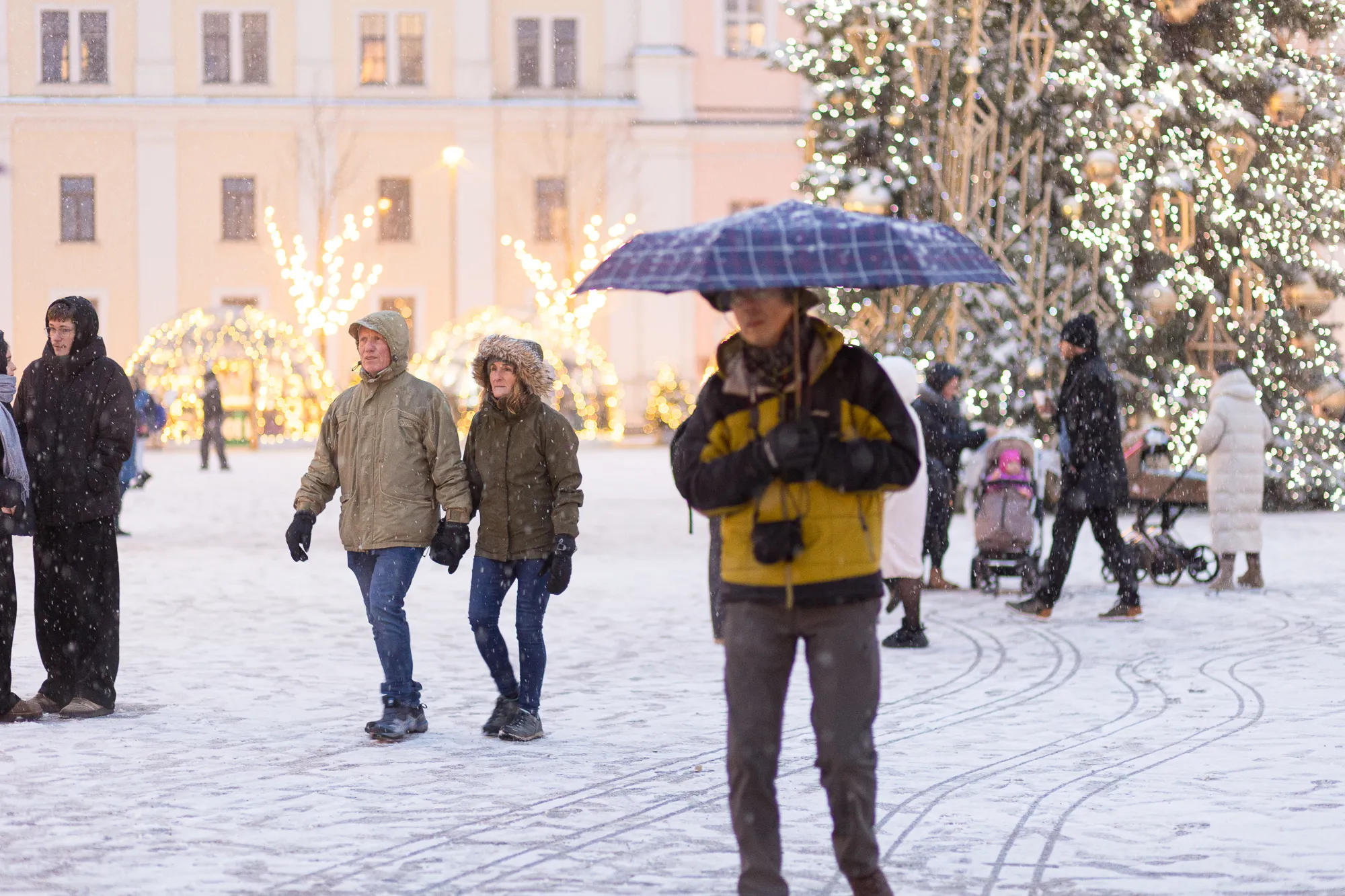 Kalėdų eglę apklojo pirmas sniegas / R. Tenio nuotr.