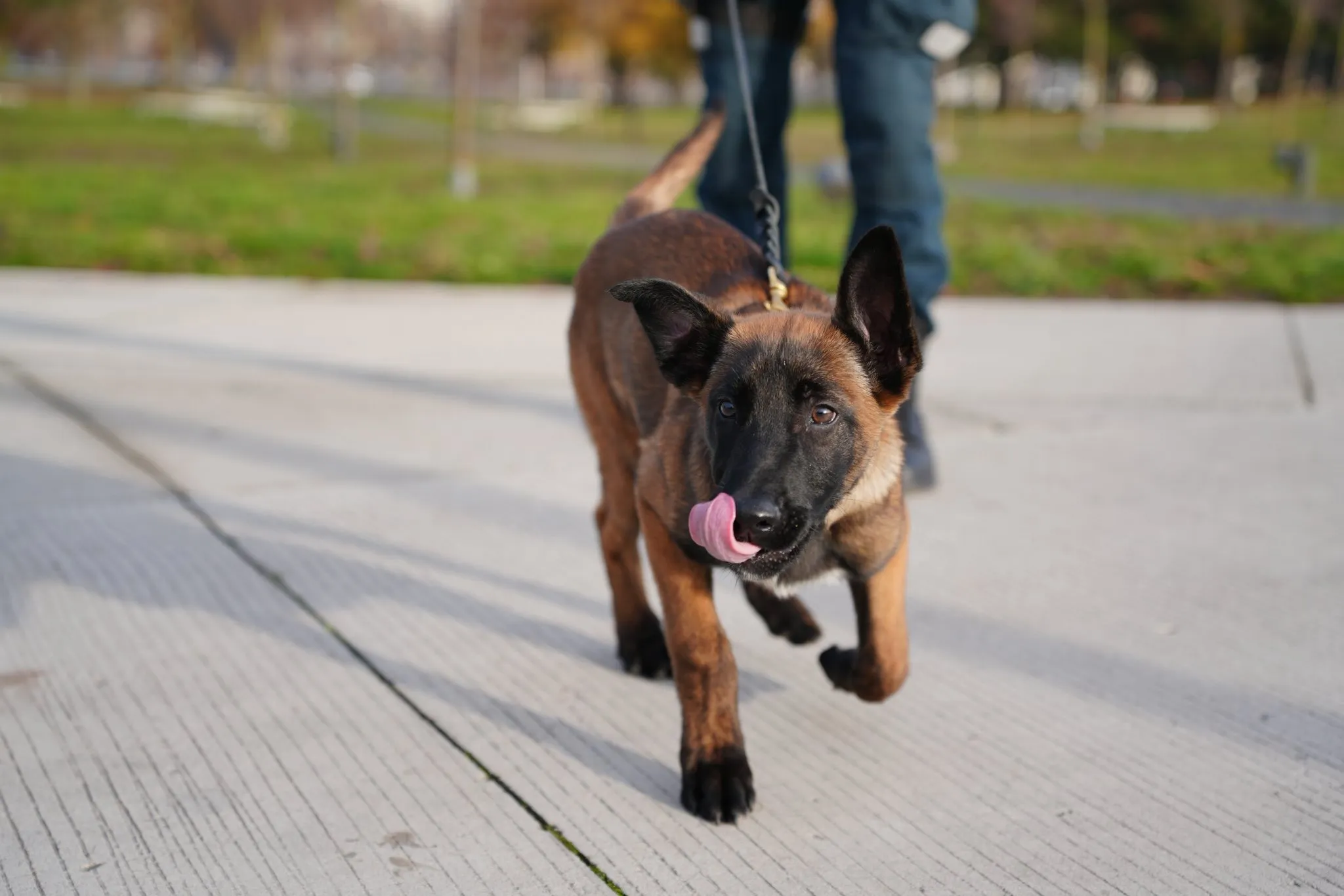 581961809_830267673041604_3343027095205005539_n