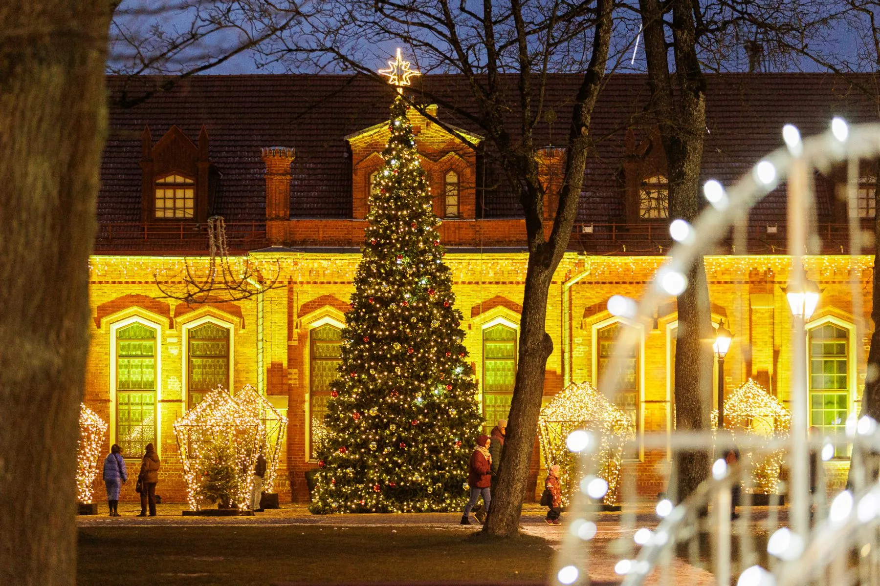 Eglutės įžiebimas Raudondvario dvare / E. Mališausko, Organizatorių nuotr.