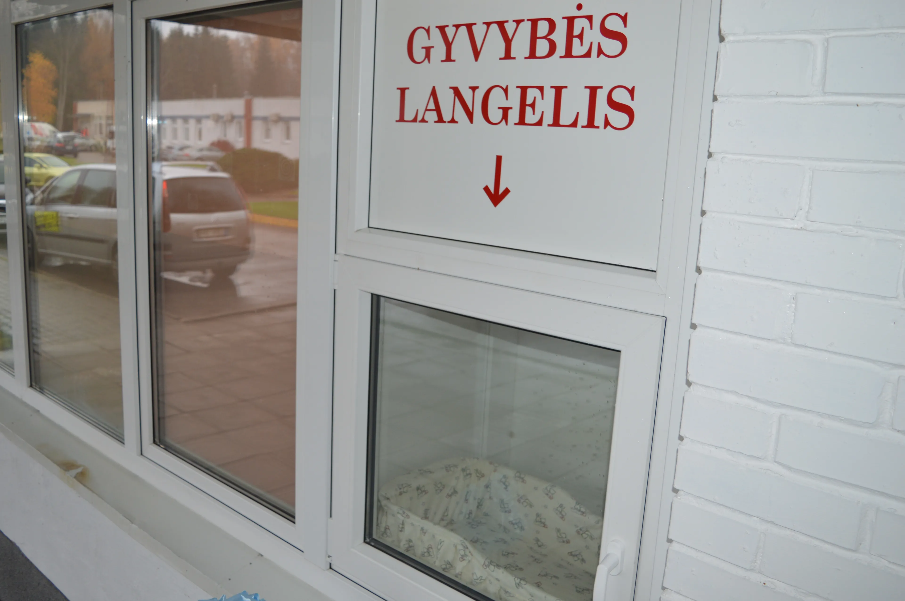 Gyvybės langelis