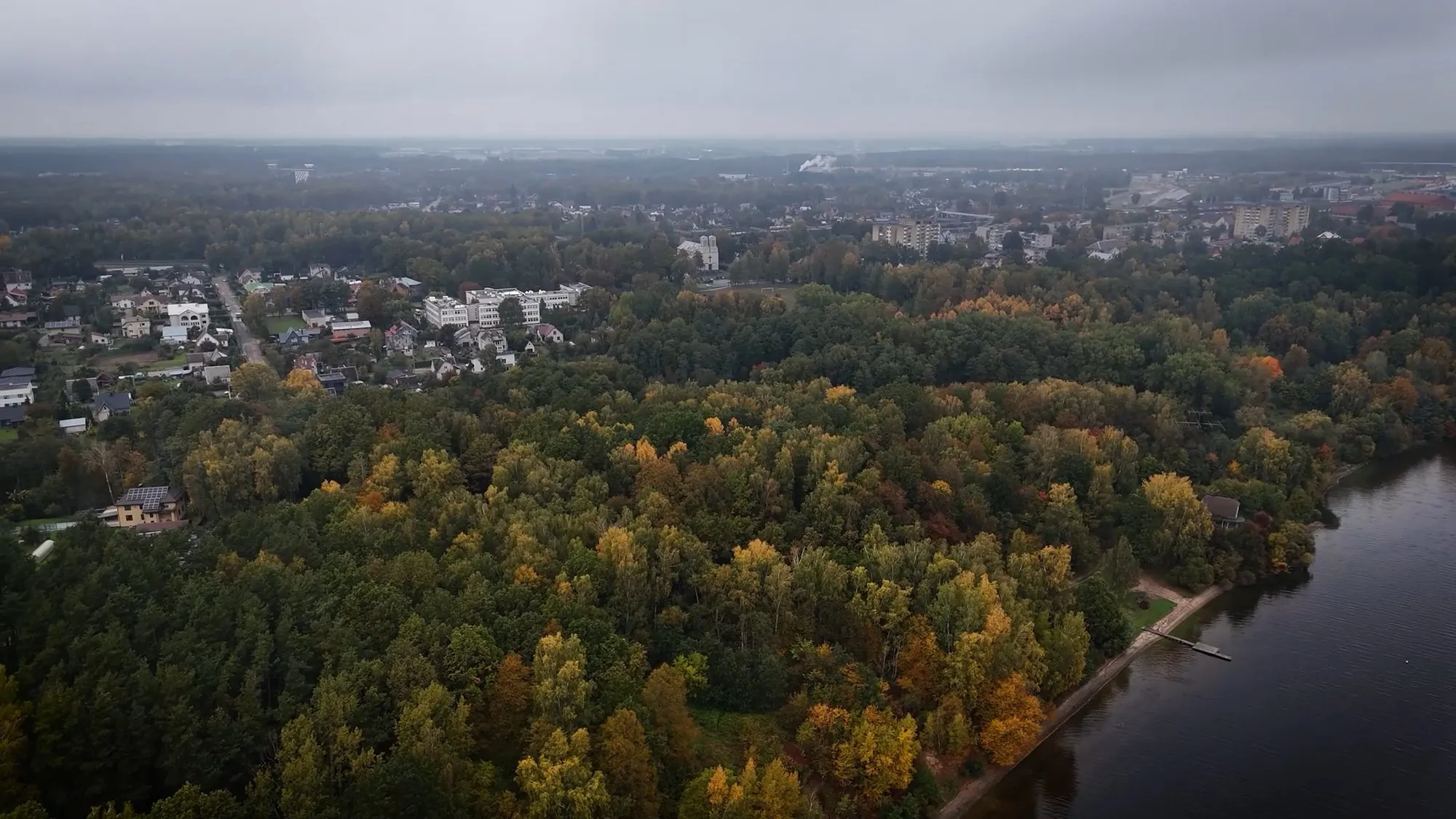 tyrimas veni vidi viciunai v4 copymp400 01 44 23still004