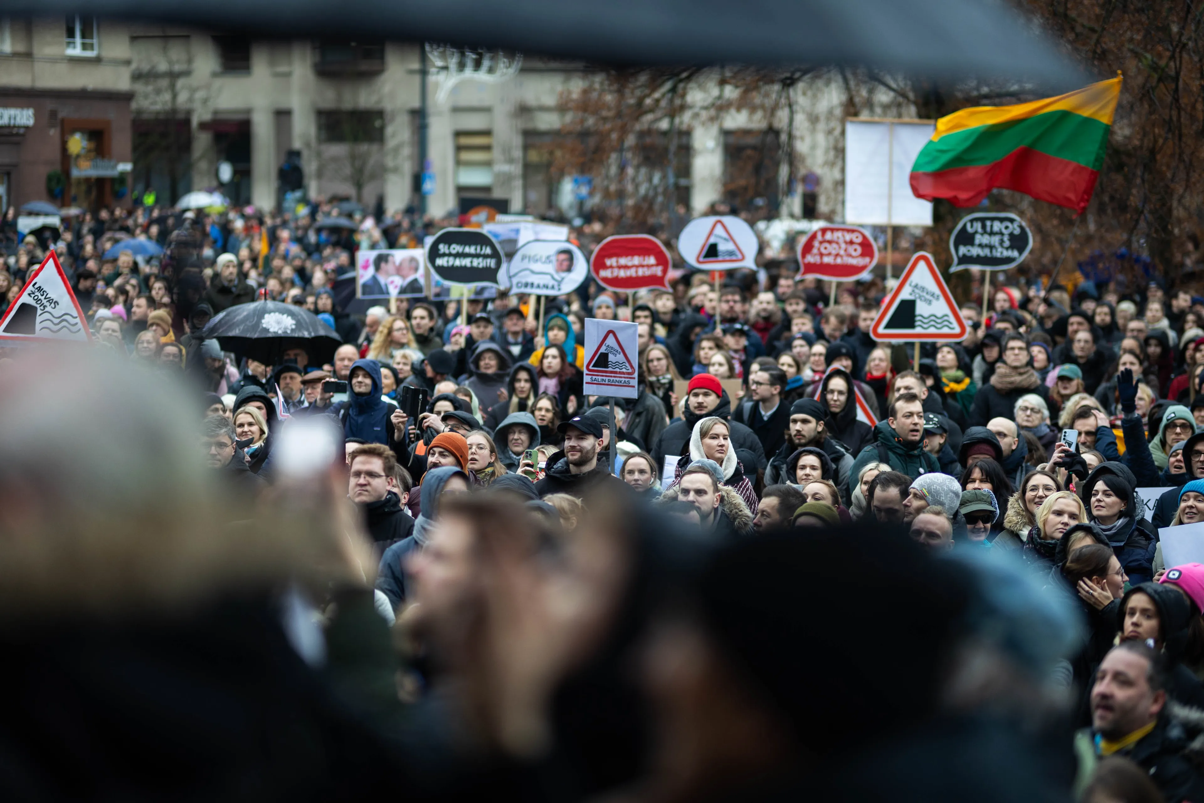 Mitingas „Šalin rankas nuo laisvo žodžio“ / BNS nuotr.