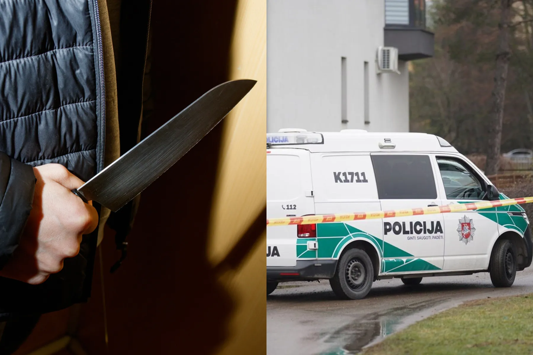 Peilis / Asociatyvi / G. Bitvinskio / Lrytas / R. Tenio nuotr.