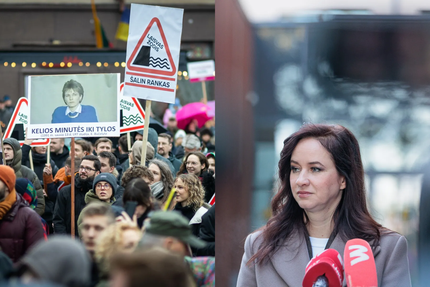 Inga Ruginienė, protestas
