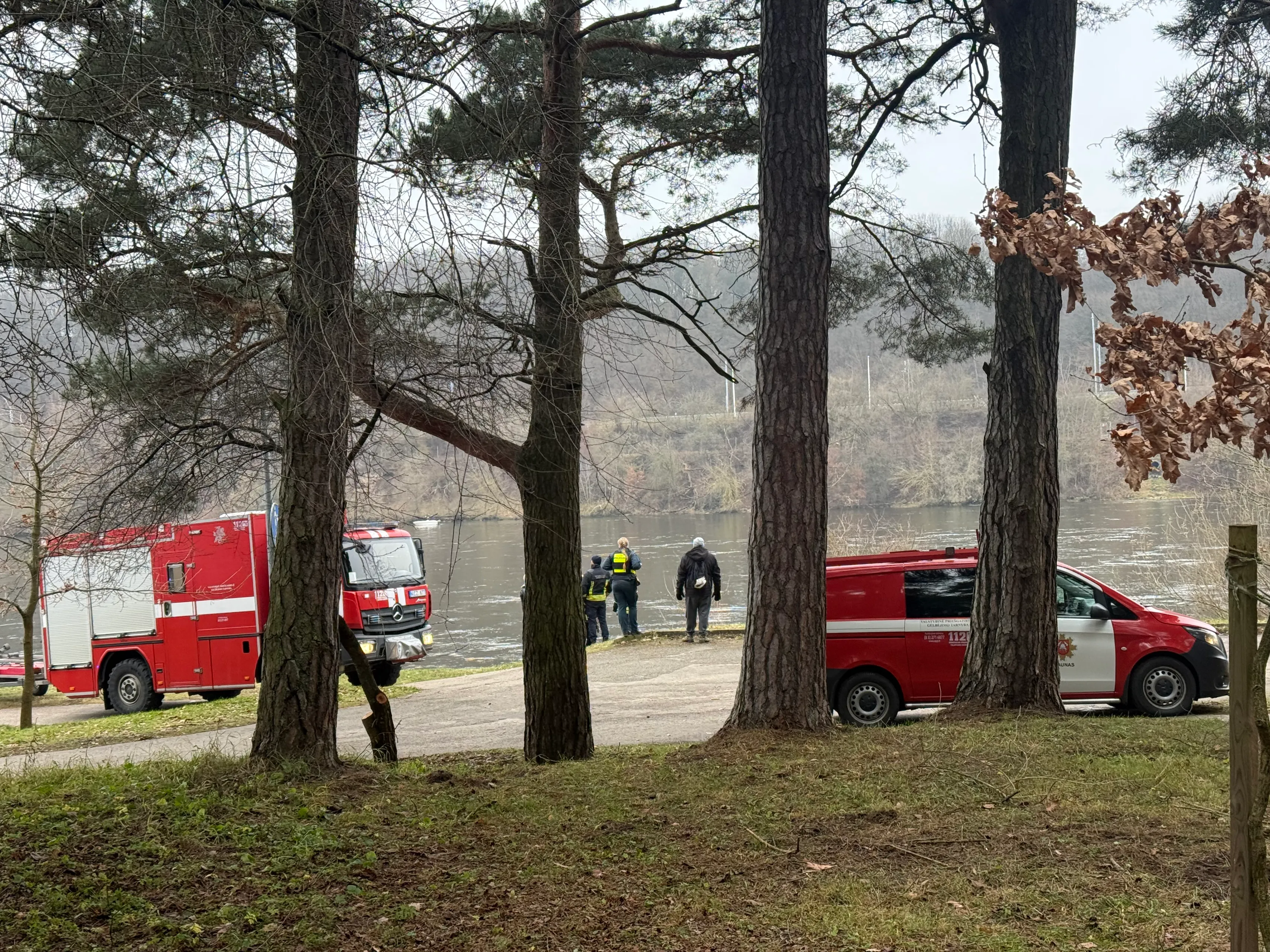 Panemunės šilas, skendulis, Moters paieškos / Skaitytojo nuotr.
